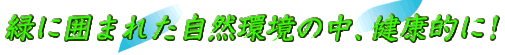 �y�[�W�^�C�g��