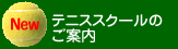 �e�j�X�X�N�[���̂��ē�